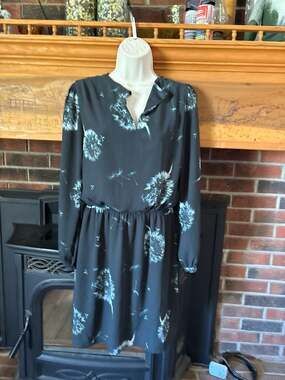 Express Long Sleeve Dandelion Print Keyhole Neck Elastic Waist Dress